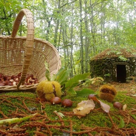 Casa Rural Margarita I Montánchez エクステリア 写真