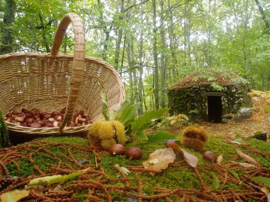 Casa Rural Margarita I Montánchez エクステリア 写真